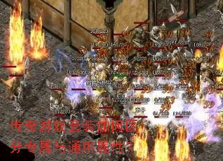 传奇游戏套装如何区分专属与通用属性? 传奇游戏套装如何区分专属与通用属性?