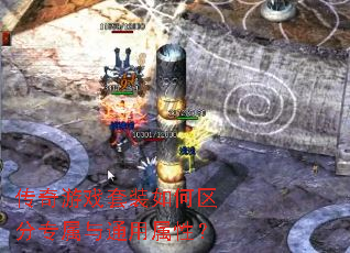 传奇游戏套装如何区分专属与通用属性? 传奇游戏套装如何区分专属与通用属性?