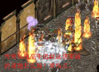 ����˽�����ֽ�Ⱥ��鱦�ص�������ô�⣿��ָ�㡣