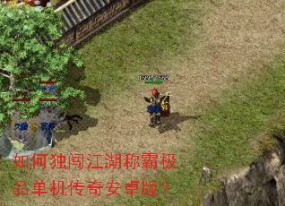 如何独闯江湖称霸极品单机传奇安卓版? 如何独闯江湖称霸极品单机传奇安卓版?