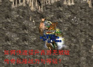 ��ο������������޵а洫��˽��ս����ȼ���