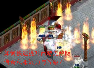 ��ο������������޵а洫��˽��ս����ȼ���