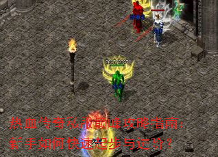 ��Ѫ����˽���۷幥��ָ�ϣ�������ο���������ף�