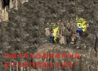 ��Ѫ����˽���۷幥��ָ�ϣ�������ο���������ף�