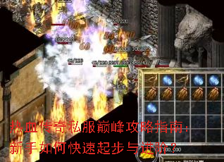 ��Ѫ����˽���۷幥��ָ�ϣ�������ο���������ף�