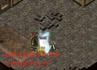 如何在新版小七传奇中快速提升战力? 如何在新版小七传奇中快速提升战力?