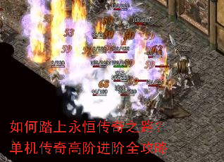 ���̤�����㴫��֮·����������߽׽���ȫ����