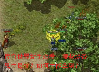 �����������ֱؿ�����Щװ���������ţ���β����õ���