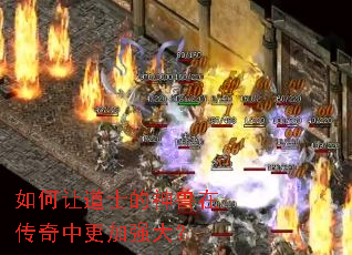 ����õ�ʿ�������ڴ����и���ǿ��