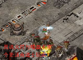 ���������Ѫ���ĸ����ʺϵ�ʿ��ң�