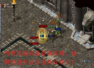 ����˽��SI����ǿ���ԣ���ο�������������ս������