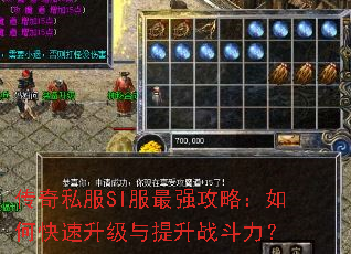 ����˽��SI����ǿ���ԣ���ο�������������ս������