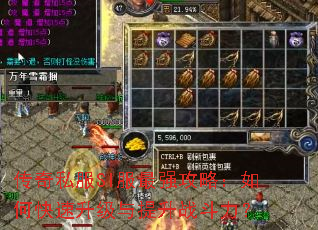 ����˽��SI����ǿ���ԣ���ο�������������ս������