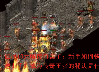 ��ս10ԪGM������ӣ�������ο������֣���Ϊ�������ߵ��ؾ���ʲô��