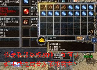 ����˽���ռ����ԣ���δ����ֿ��ٳɳ�Ϊ����������