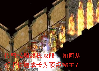 ����˽���ռ����ԣ���δ����ֿ��ٳɳ�Ϊ����������