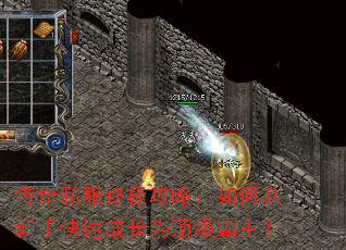 ����˽���ռ����ԣ���δ����ֿ��ٳɳ�Ϊ����������