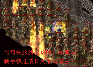 ����˽���ռ����ԣ���δ����ֿ��ٳɳ�Ϊ����������