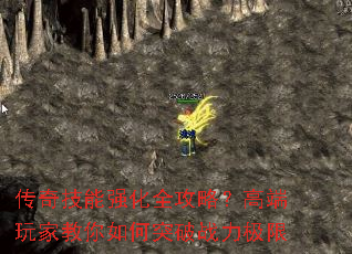 ���漼��ǿ��ȫ���ԣ��߶���ҽ������ͻ��ս������