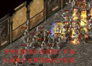 ���漼��ǿ��ȫ���ԣ��߶���ҽ������ͻ��ս������