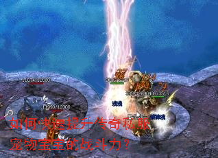 ��ο�����������˽�����ﱦ����ս������