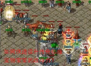 ��ο�����������˽�����ﱦ����ս������