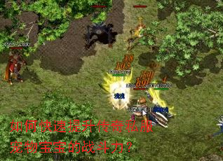 ��ο�����������˽�����ﱦ����ս������