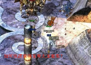 ��ο��ٻ�����������װ��