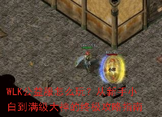 WLK公益服怎么玩?从新手小白到满级大神的终极攻略指南 WLK公益服怎么玩?从新手小白到满级大神的终极攻略指南