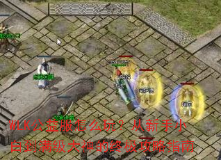 WLK公益服怎么玩?从新手小白到满级大神的终极攻略指南 WLK公益服怎么玩?从新手小白到满级大神的终极攻略指南