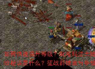 ��ο��������ȼ���߳���귨��½�Ľ����ؾ���ʲô����սȺ��˭�����棿