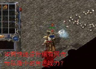 ��ο�������ϡ��������˽���еĽ�ɫս����