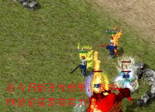 在今日新开传奇里,喜欢PK的前提是有实力吗? 在今日新开传奇里,喜欢PK的前提是有实力吗?