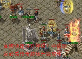 ��ο��������ȼ����м���ұؿ�������Ϸ��������