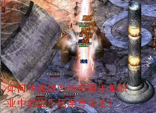 ��ο��ٳ�Ϊ���������ְҵ�е����������������