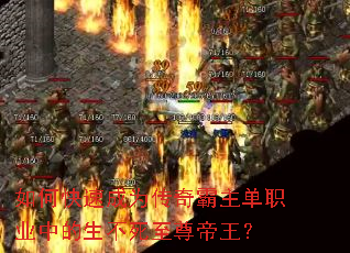 ��ο��ٳ�Ϊ���������ְҵ�е����������������