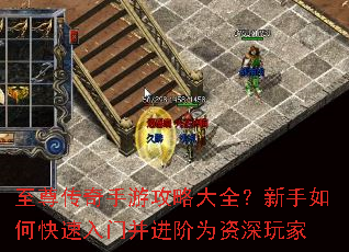 至尊传奇手游攻略大全?新手如何快速入门并进阶为资深玩家 至尊传奇手游攻略大全?新手如何快速入门并进阶为资深玩家