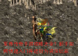 至尊传奇手游攻略大全?新手如何快速入门并进阶为资深玩家 至尊传奇手游攻略大全?新手如何快速入门并进阶为资深玩家