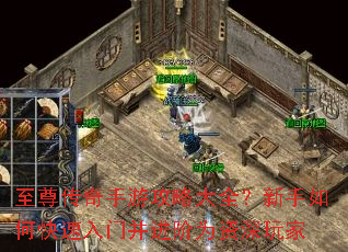 至尊传奇手游攻略大全?新手如何快速入门并进阶为资深玩家 至尊传奇手游攻略大全?新手如何快速入门并进阶为资深玩家