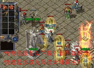 ����˽����ô���أ�������ο����𲽳�Ϊ�귨��½������