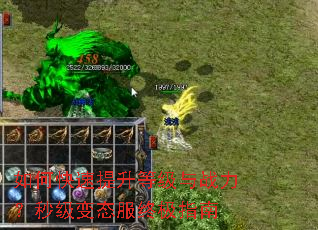 ��ο��������ȼ���ս�����뼶��̬���ռ�ָ��