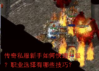 ����˽��������ο���������ְҵѡ������Щ���ɣ�