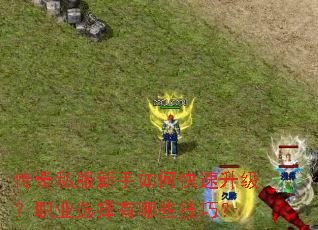 ����˽��������ο���������ְҵѡ������Щ���ɣ�