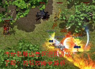 ����˽��ɽ�������ڿ����������湥��ȫ����