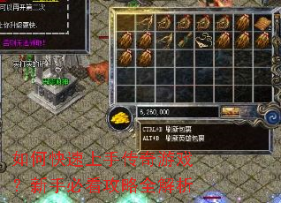 ��ο������ִ�����Ϸ�����ֱؿ�����ȫ����