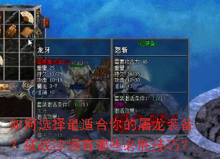 ���ѡ�����ʺ��������װ������սɳ������Щ��ʤ���ɣ�