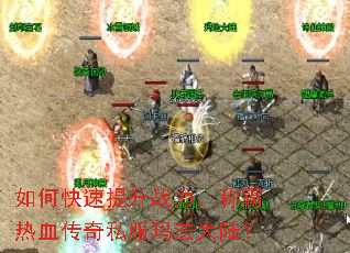 ��ο�������ս�����ư���Ѫ����˽���귨��½��