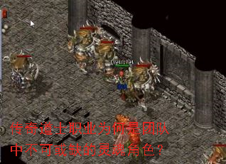 �����ʿְҵΪ�����Ŷ��в��ɻ�ȱ������ɫ��