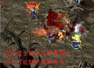 �����ʿְҵΪ�����Ŷ��в��ɻ�ȱ������ɫ��