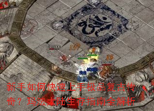 ������ο������ּ�Ʒ���Ŵ��棿�귨��½����ָ��ȫ����